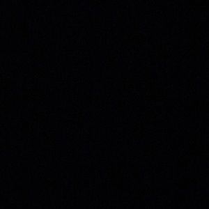 Meet your Posher, Will